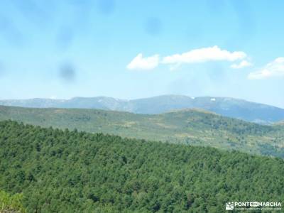 Sestil de Maillo-Mojonavalle-Canencia; conocer amigos madrid sierra de guadarrama rutas parque natur